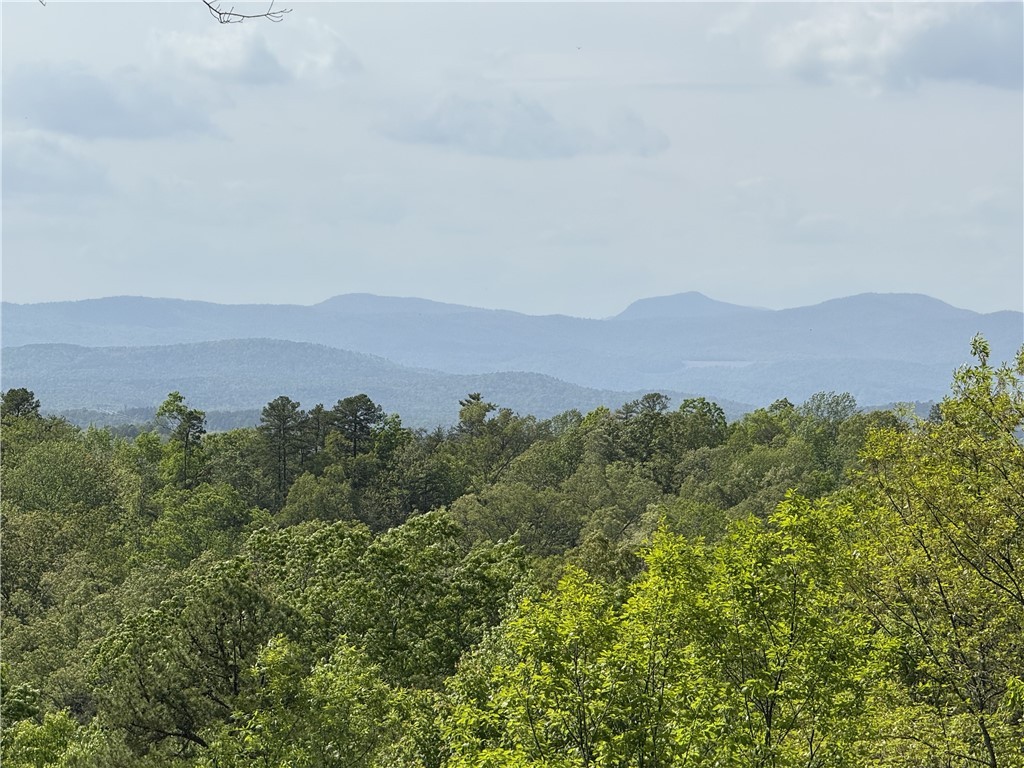 105 Parkview Lane, Sunset, South Carolina image 3