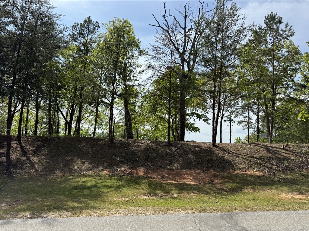105 Parkview Lane, Sunset, South Carolina image 7