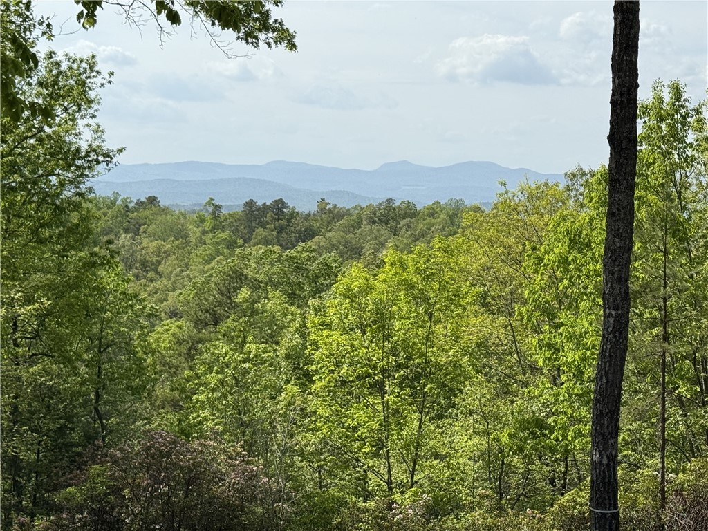 105 Parkview Lane, Sunset, South Carolina image 4