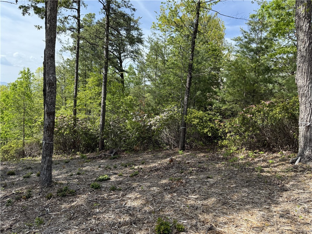 105 Parkview Lane, Sunset, South Carolina image 6