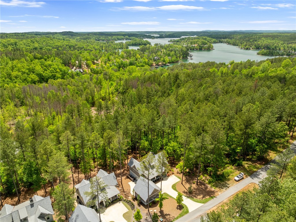 113 Settlement Village Drive, Sunset, South Carolina image 30