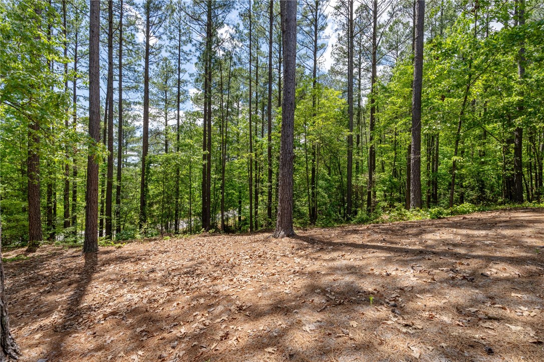 113 Settlement Village Drive, Sunset, South Carolina image 29