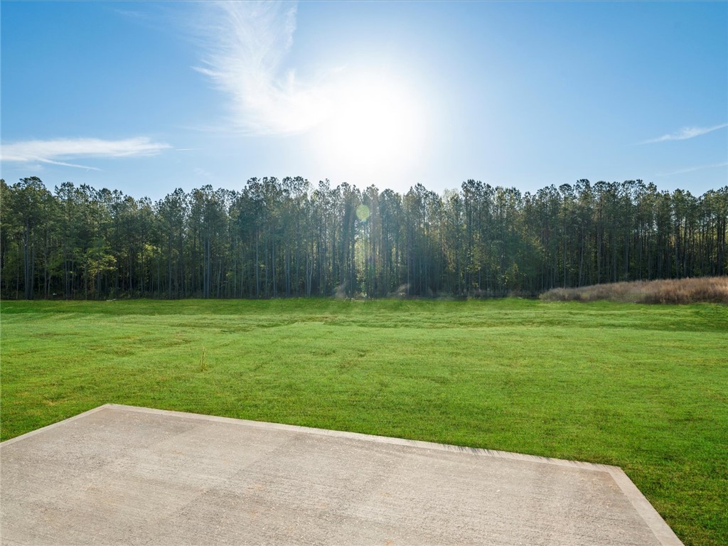 828 Penfold Pointe, Wellford, South Carolina image 34