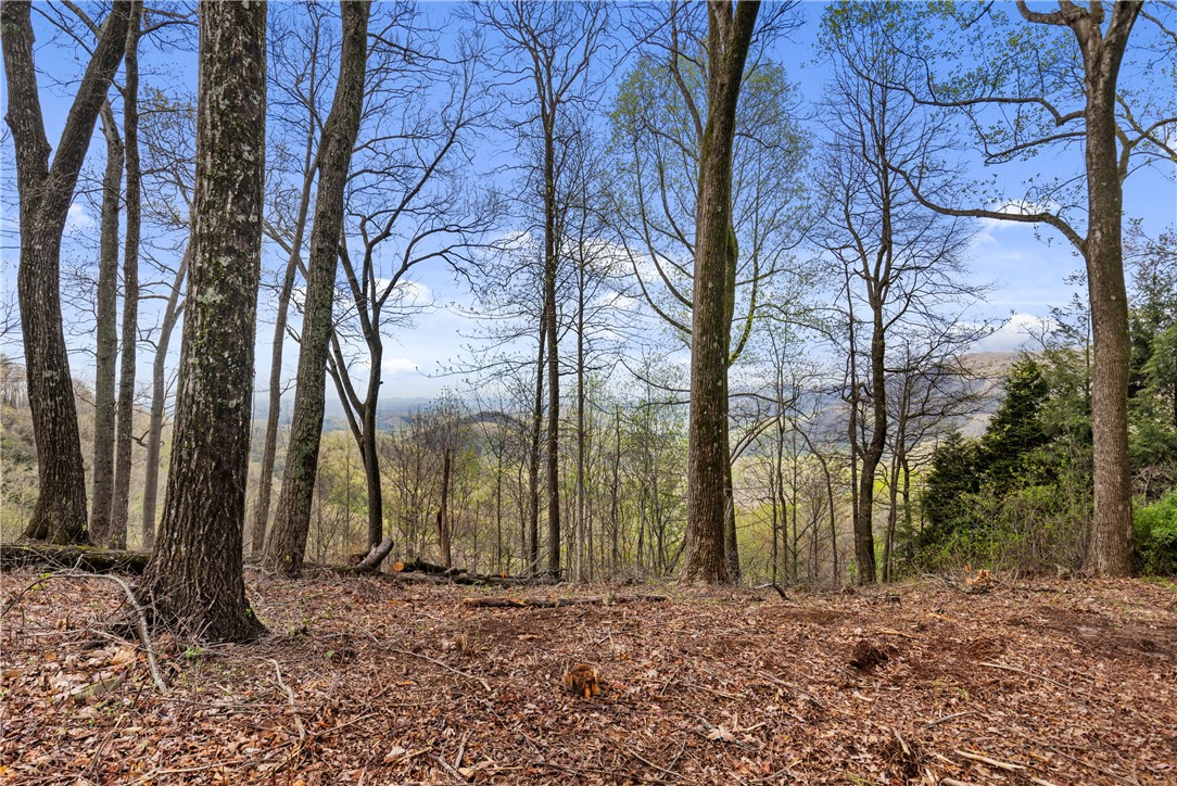 21 High Laurel Way, Travelers Rest, South Carolina image 5