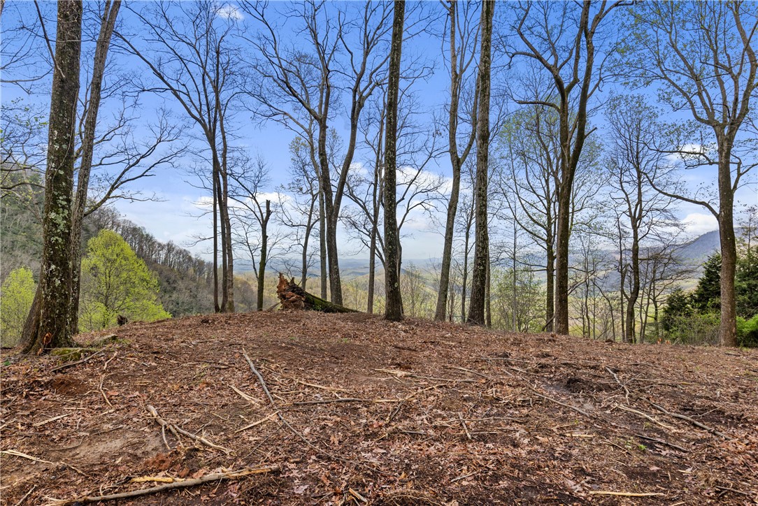 21 High Laurel Way, Travelers Rest, South Carolina image 4