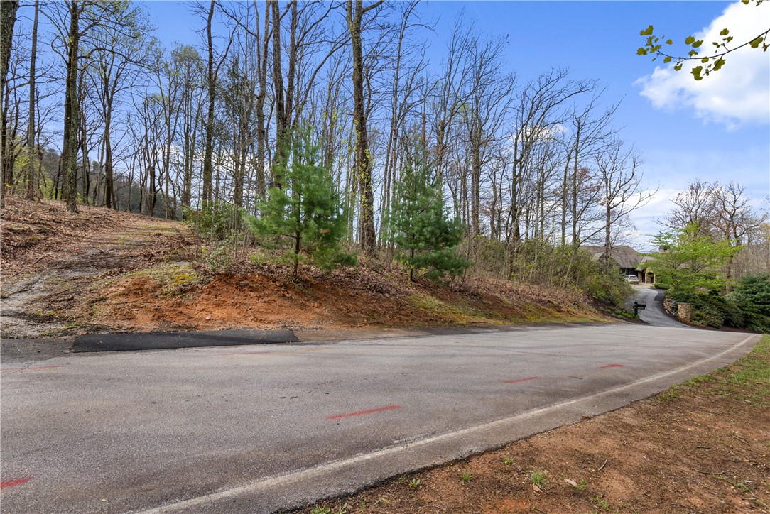 21 High Laurel Way, Travelers Rest, South Carolina image 7