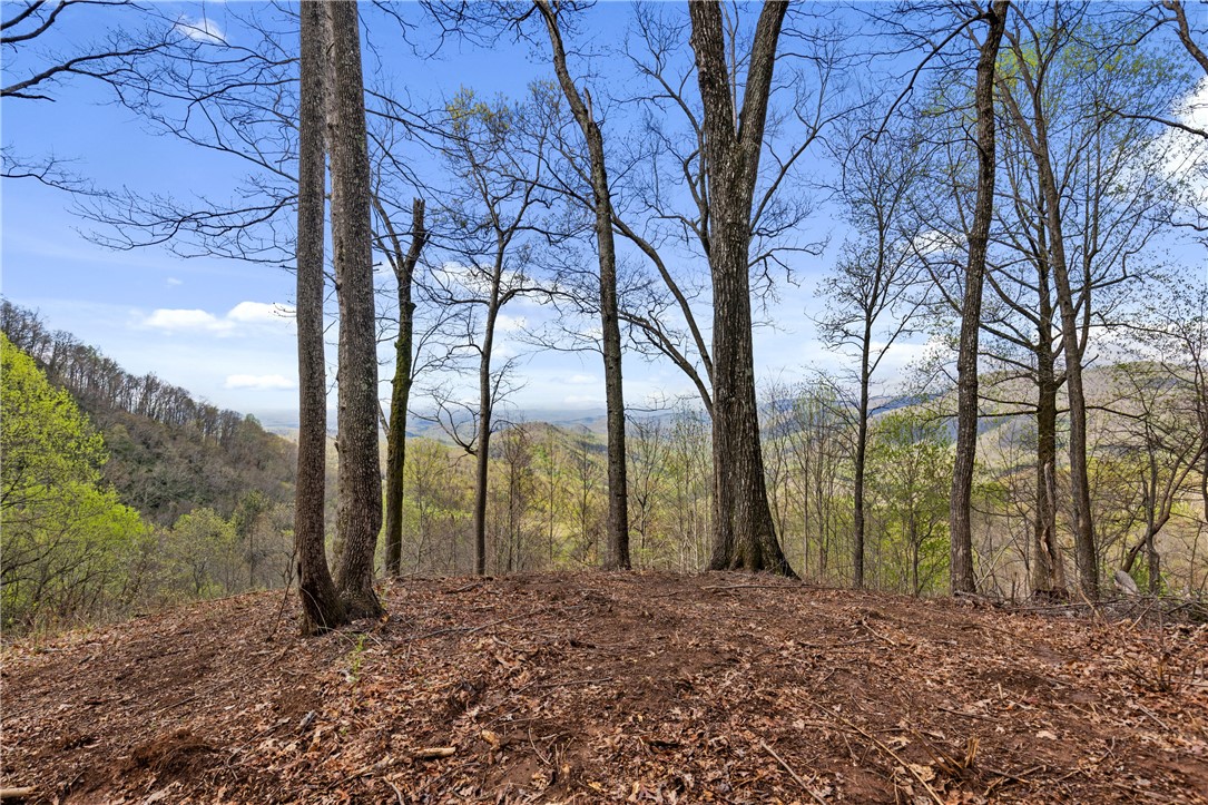 21 High Laurel Way, Travelers Rest, South Carolina image 2