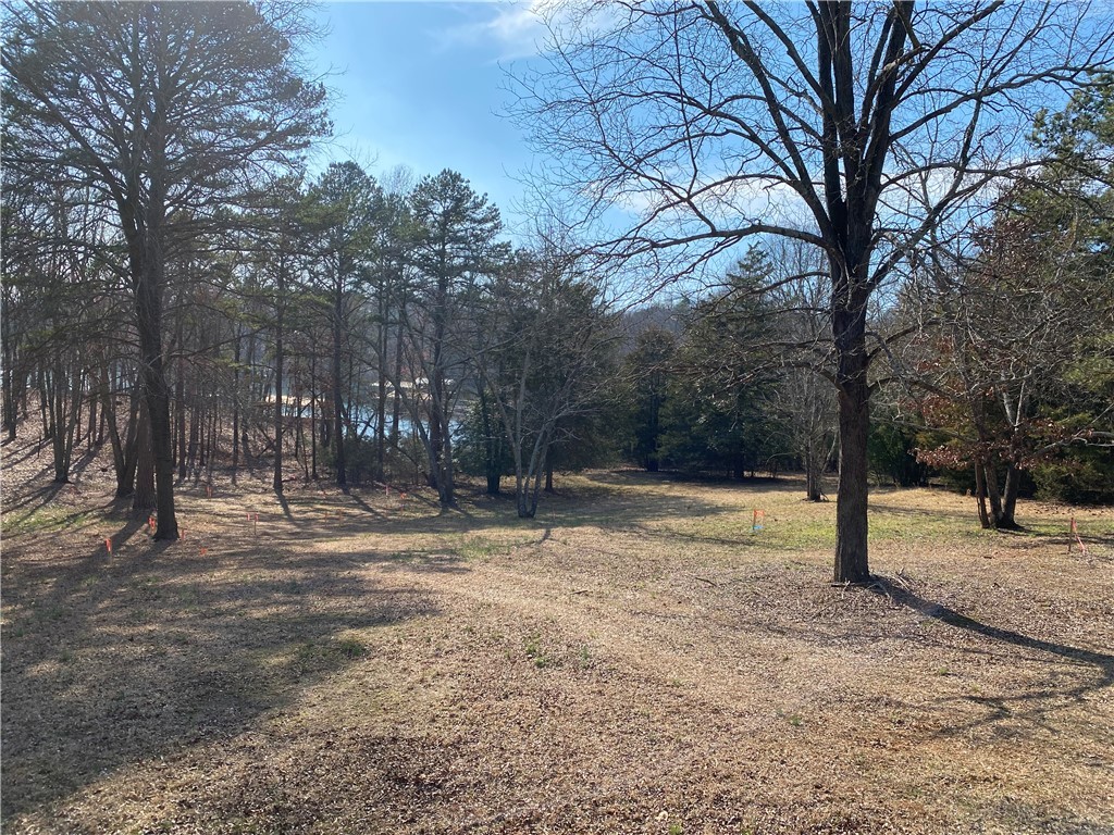 Lot H Majestic Shores Road, Hartwell, Georgia image 3