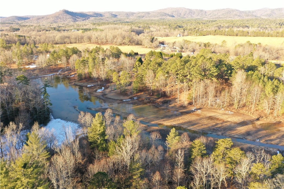 611 The Bear Boulevard, Tamassee, South Carolina image 8