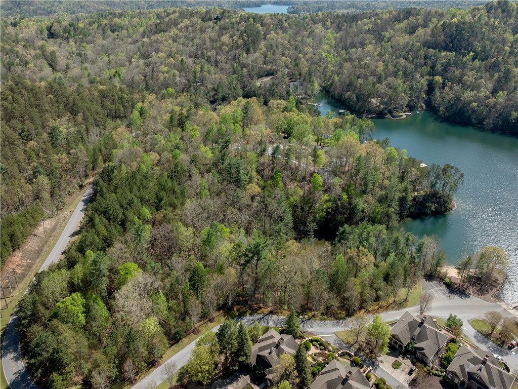 Lot 2 And 3 Johnson Drive, Sunset, South Carolina image 38