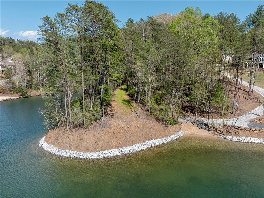 Lot 2 And 3 Johnson Drive, Sunset, South Carolina image 29