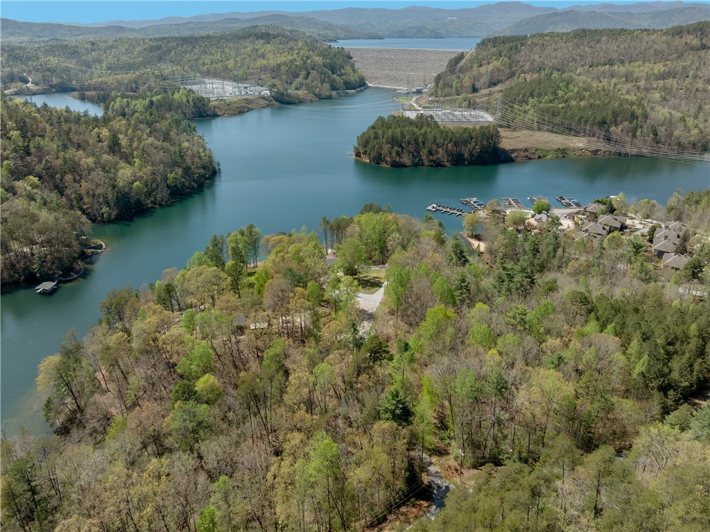 Lot 2 And 3 Johnson Drive, Sunset, South Carolina image 27