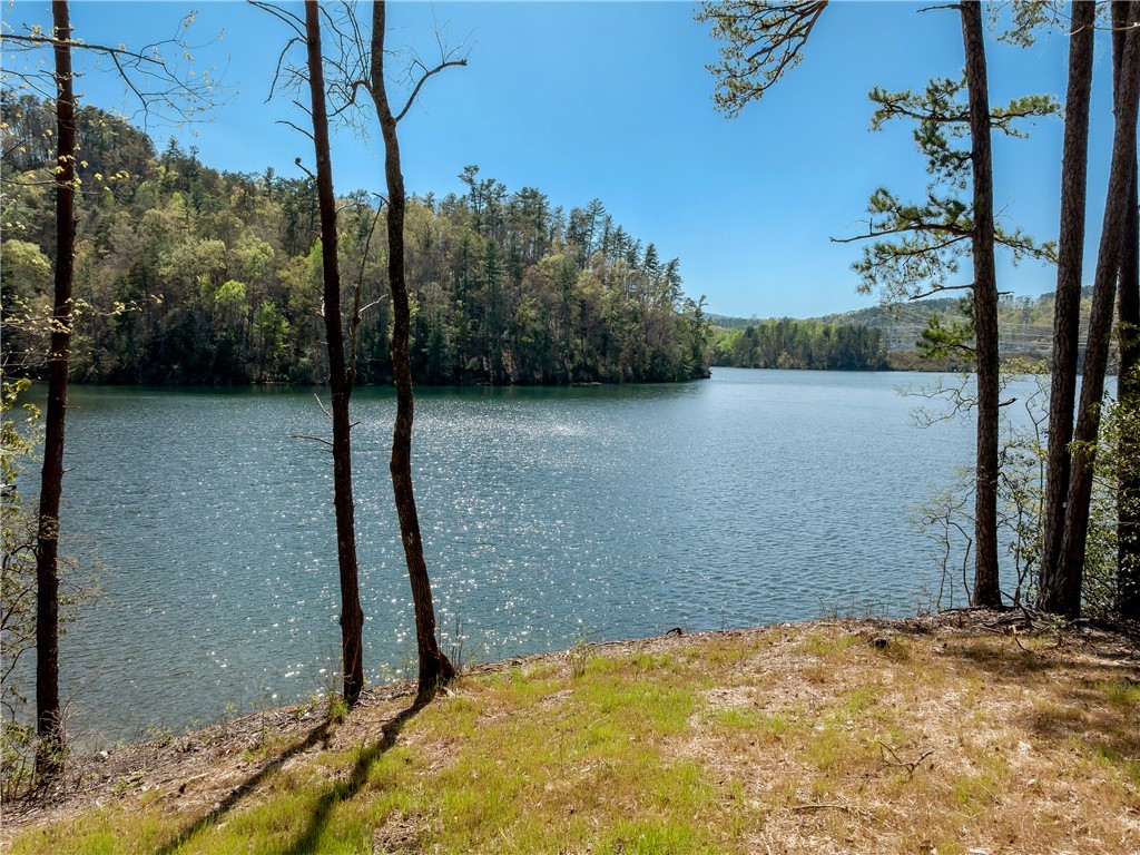 Lot 2 And 3 Johnson Drive, Sunset, South Carolina image 30