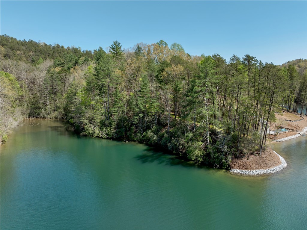 Lot 2 And 3 Johnson Drive, Sunset, South Carolina image 11