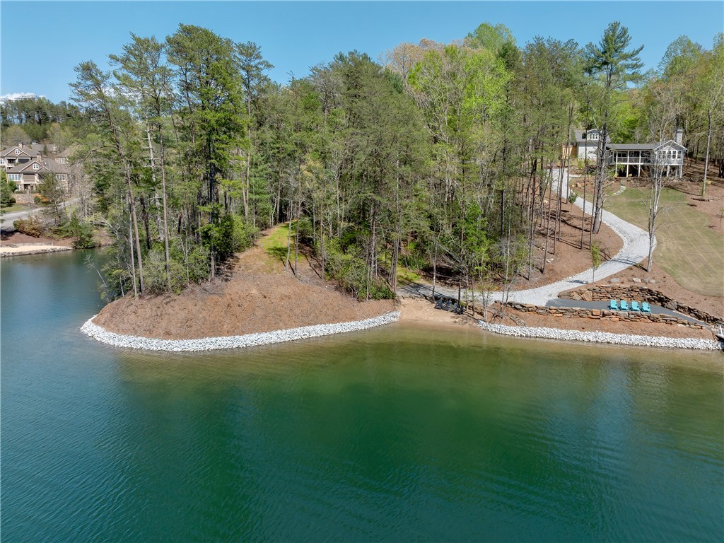 Lot 2 And 3 Johnson Drive, Sunset, South Carolina image 9