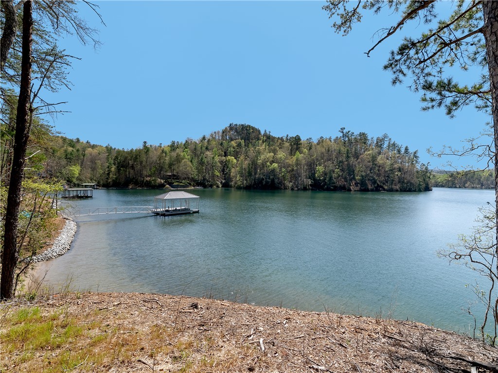 Lot 2 And 3 Johnson Drive, Sunset, South Carolina image 5