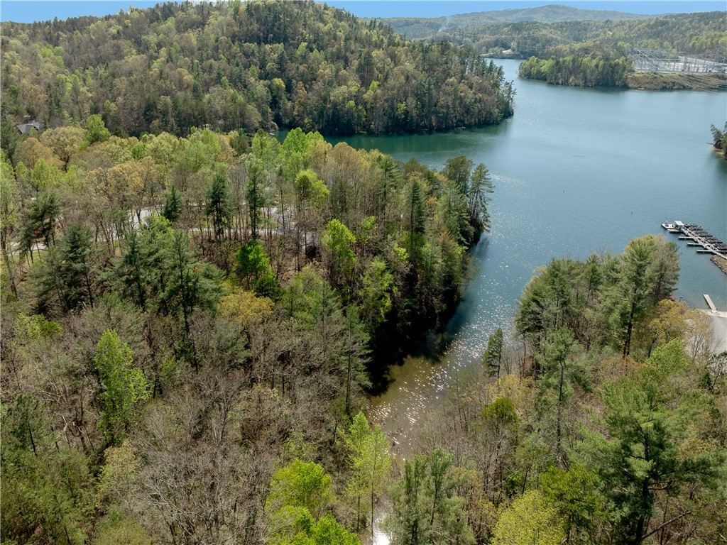 Lot 2 And 3 Johnson Drive, Sunset, South Carolina image 35