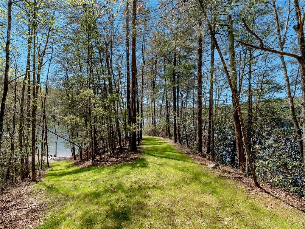 Lot 2 And 3 Johnson Drive, Sunset, South Carolina image 22