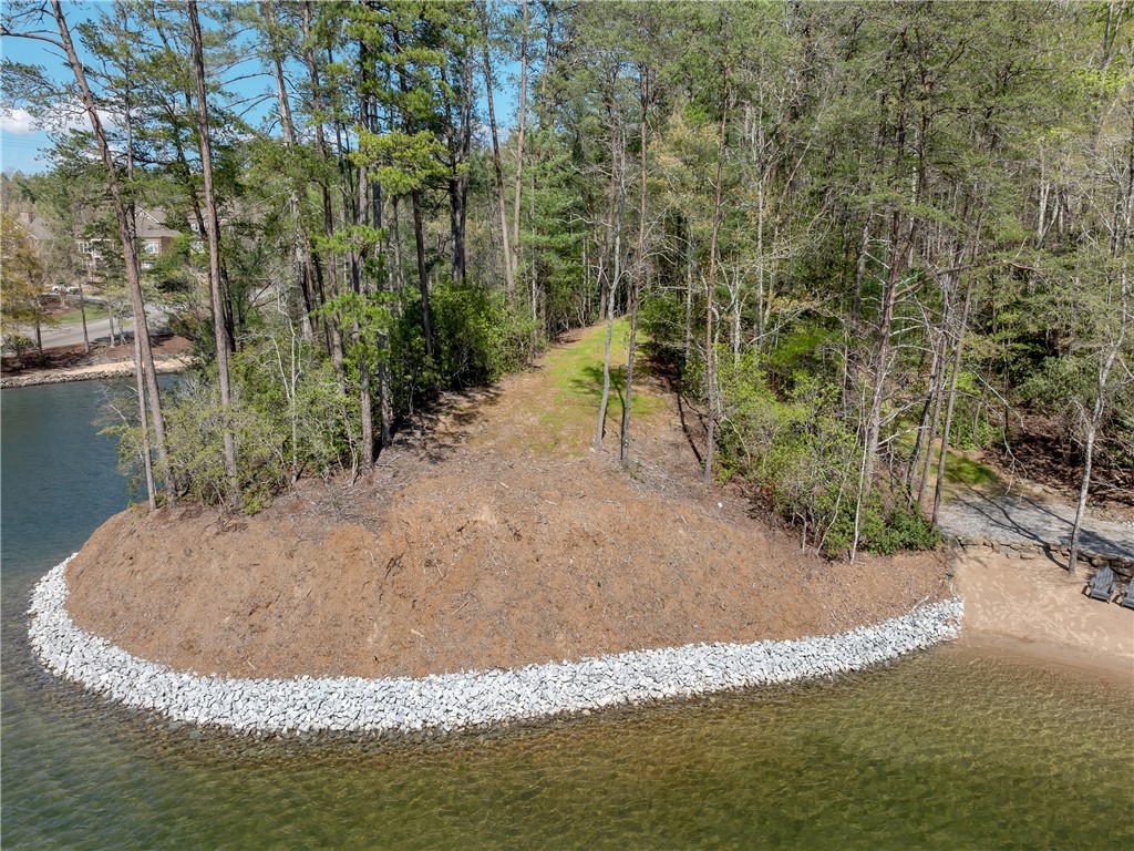 Lot 2 And 3 Johnson Drive, Sunset, South Carolina image 1