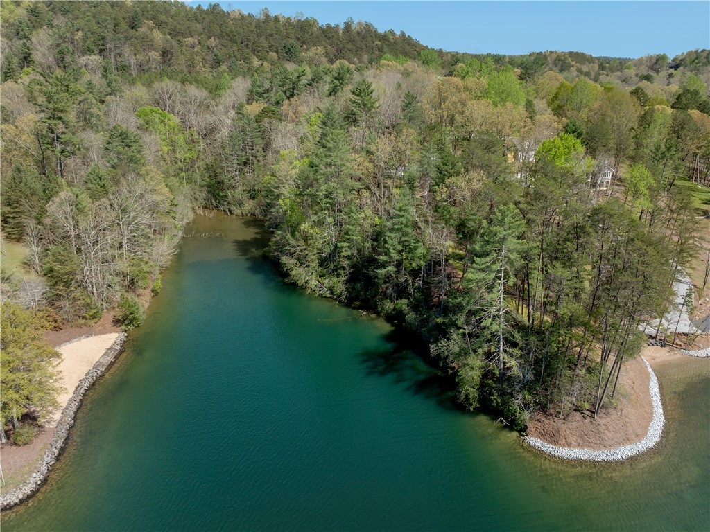 Lot 2 And 3 Johnson Drive, Sunset, South Carolina image 37