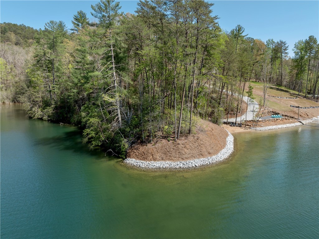 Lot 2 And 3 Johnson Drive, Sunset, South Carolina image 10