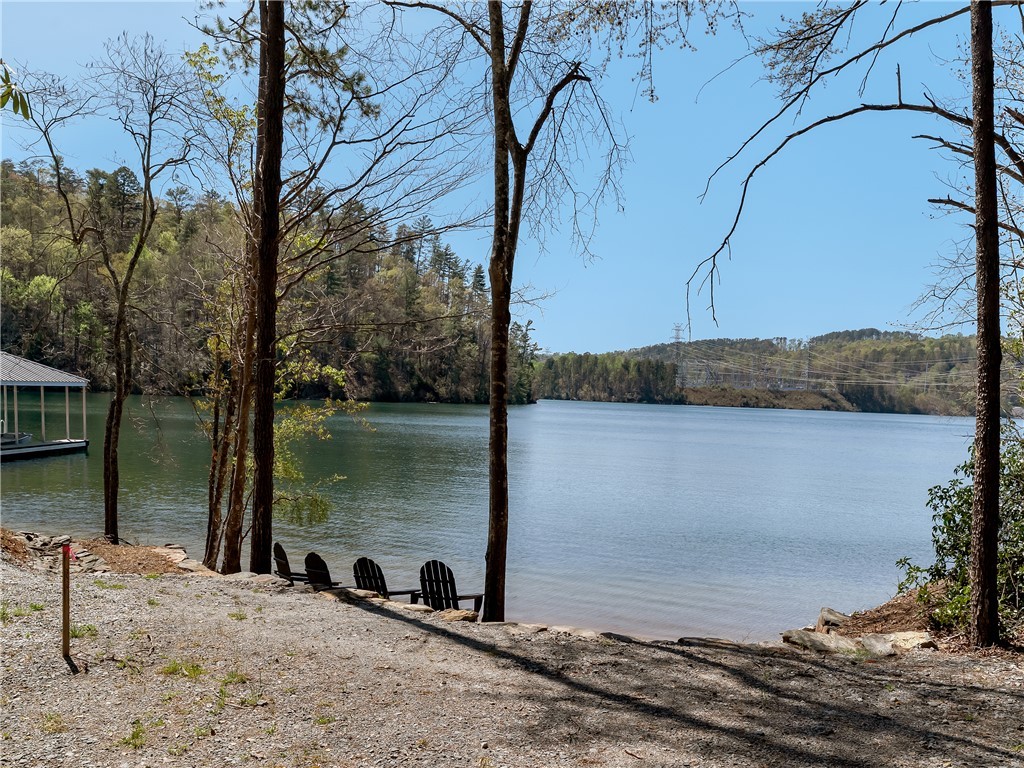 Lot 2 And 3 Johnson Drive, Sunset, South Carolina image 6