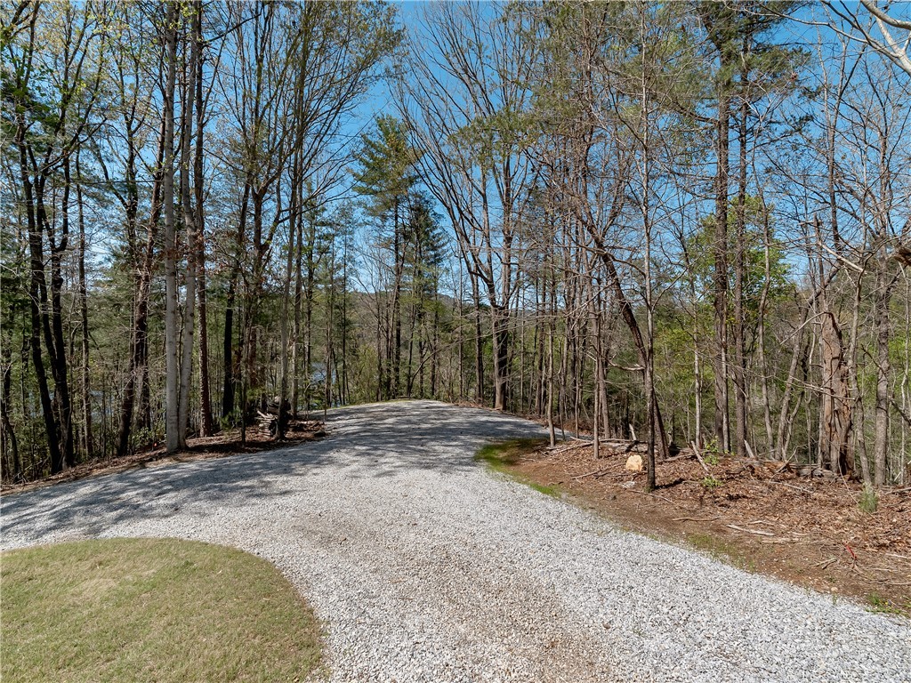 Lot 2 And 3 Johnson Drive, Sunset, South Carolina image 20