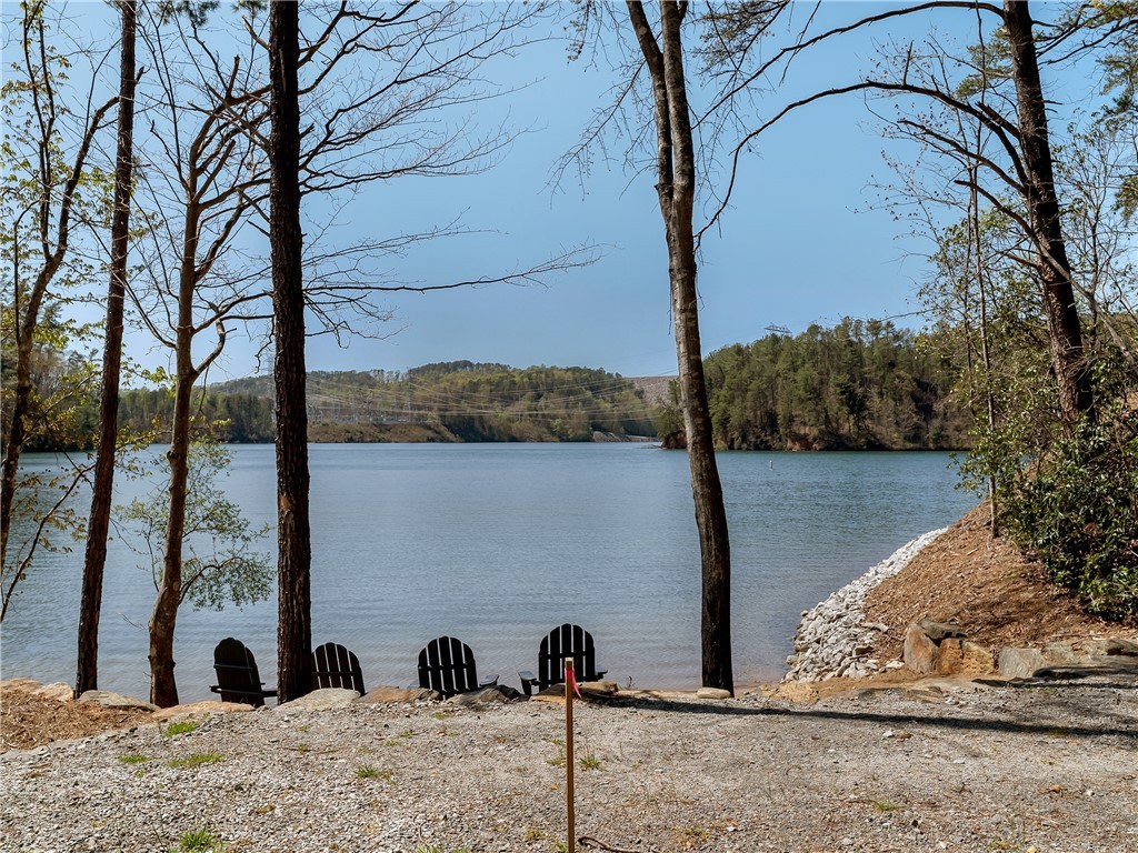 Lot 2 And 3 Johnson Drive, Sunset, South Carolina image 4