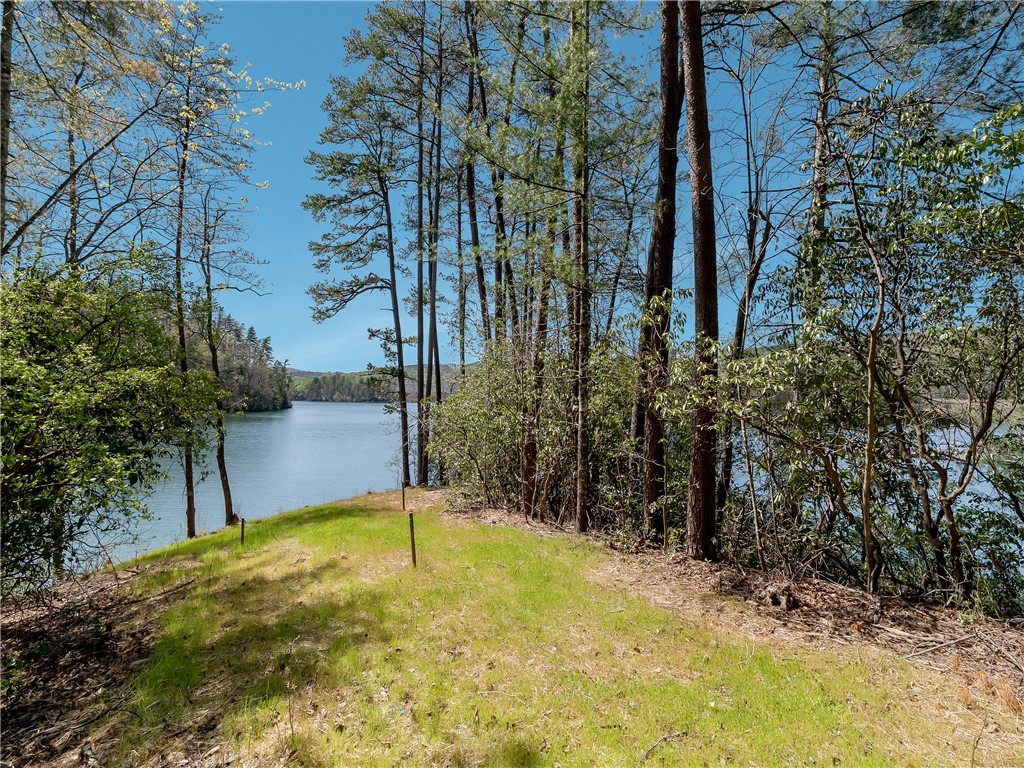 Lot 2 And 3 Johnson Drive, Sunset, South Carolina image 21