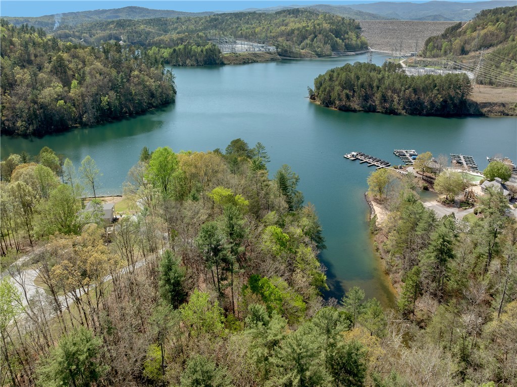 Lot 2 And 3 Johnson Drive, Sunset, South Carolina image 33