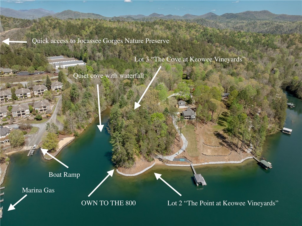 Lot 2 And 3 Johnson Drive, Sunset, South Carolina image 16