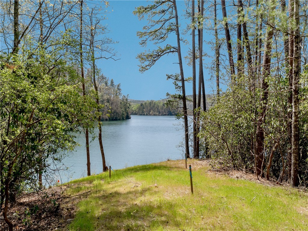 Lot 2 And 3 Johnson Drive, Sunset, South Carolina image 19