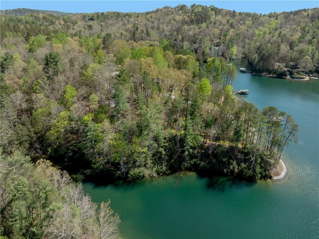 Lot 2 And 3 Johnson Drive, Sunset, South Carolina image 36