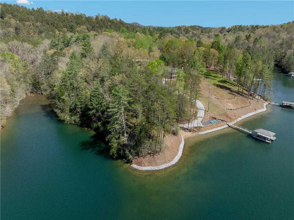 Lot 2 And 3 Johnson Drive, Sunset, South Carolina image 28