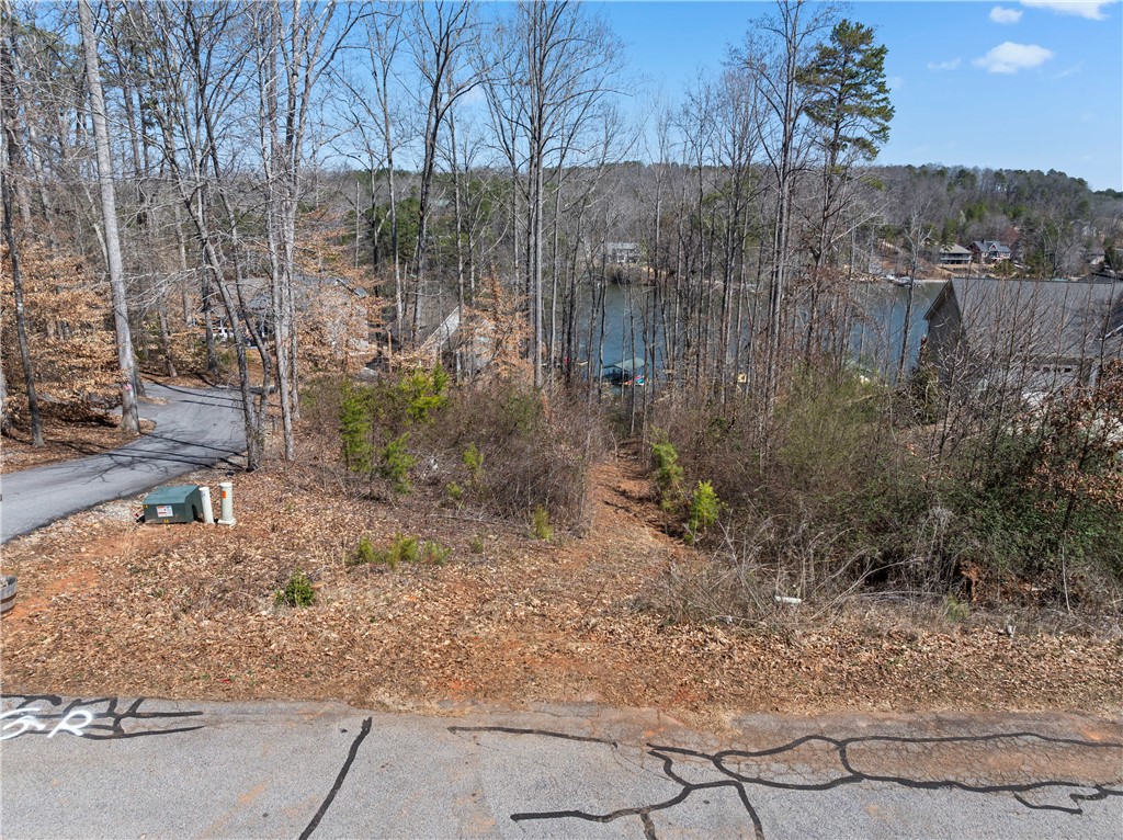 778 Hidden Falls Drive, West Union, South Carolina image 8