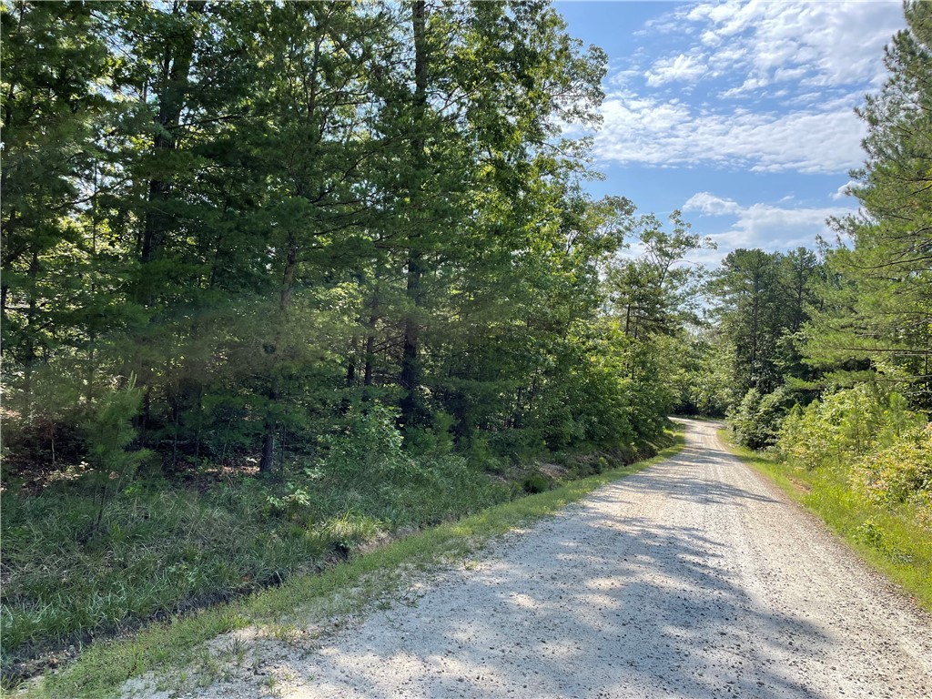 00 Whitewater Point Road, Tamassee, South Carolina image 11