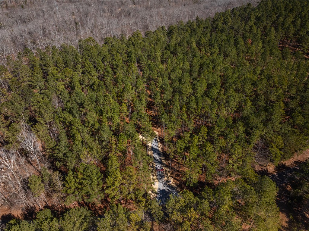 003 Simms Mill Road, Liberty, South Carolina image 2