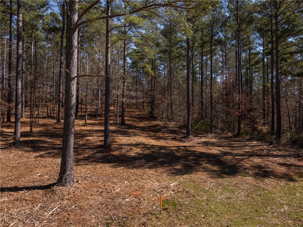003 Simms Mill Road, Liberty, South Carolina image 9