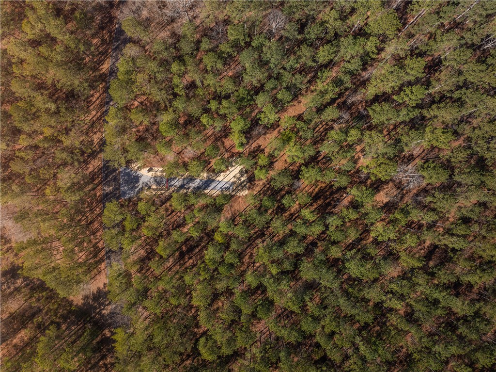 003 Simms Mill Road, Liberty, South Carolina image 3