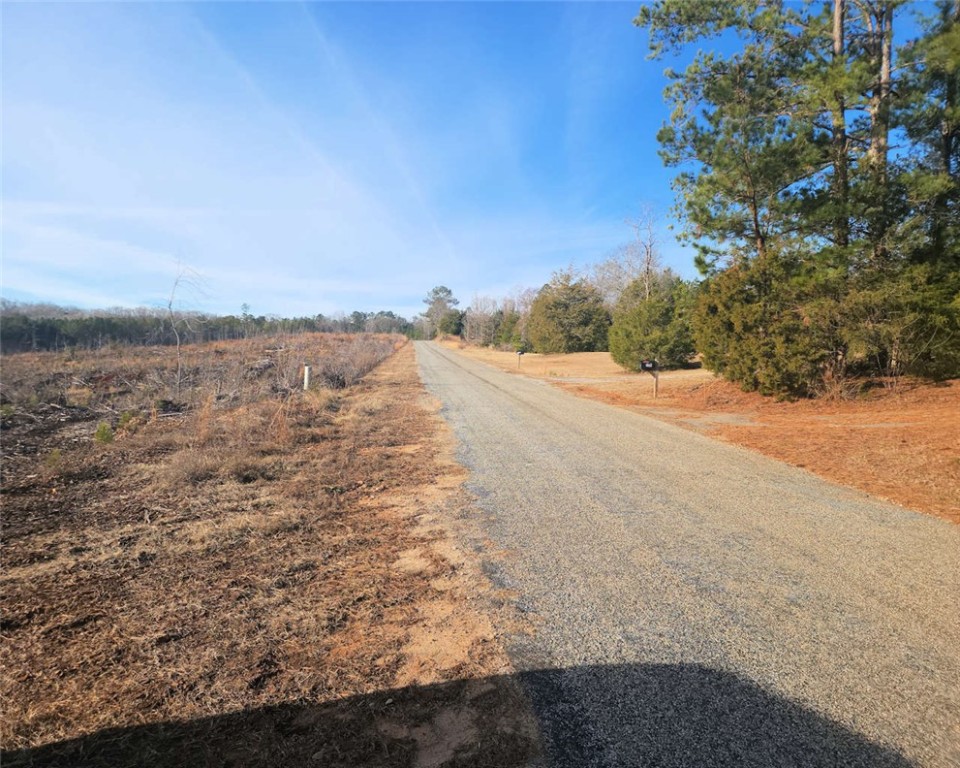 00 Elledge Road, Ware Shoals, South Carolina image 3
