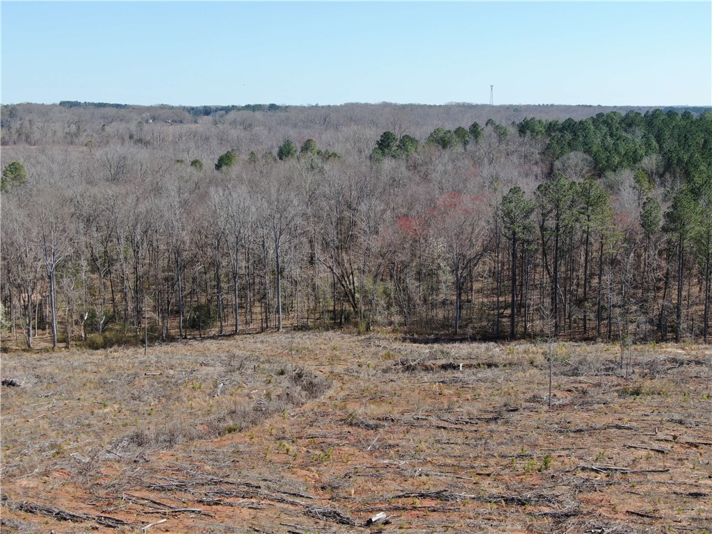 00 Elledge Road, Ware Shoals, South Carolina image 13