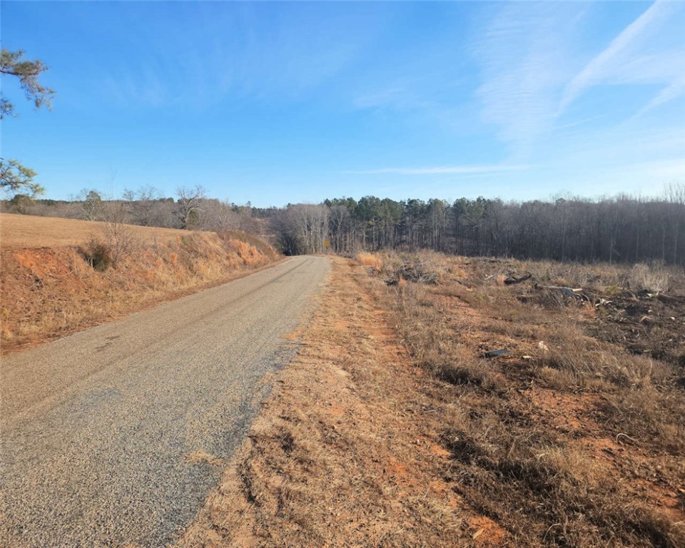 00 Elledge Road, Ware Shoals, South Carolina image 2