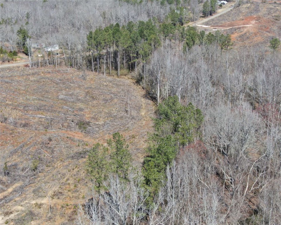 00 Elledge Road, Ware Shoals, South Carolina image 14