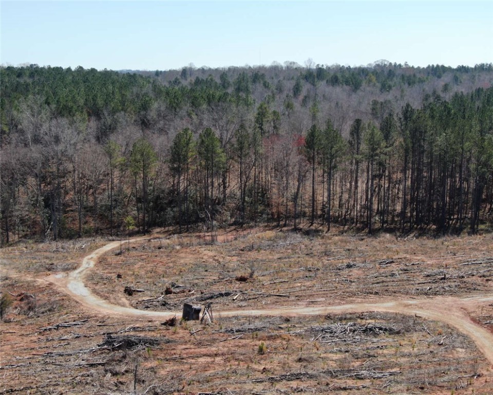 00 Elledge Road, Ware Shoals, South Carolina image 12