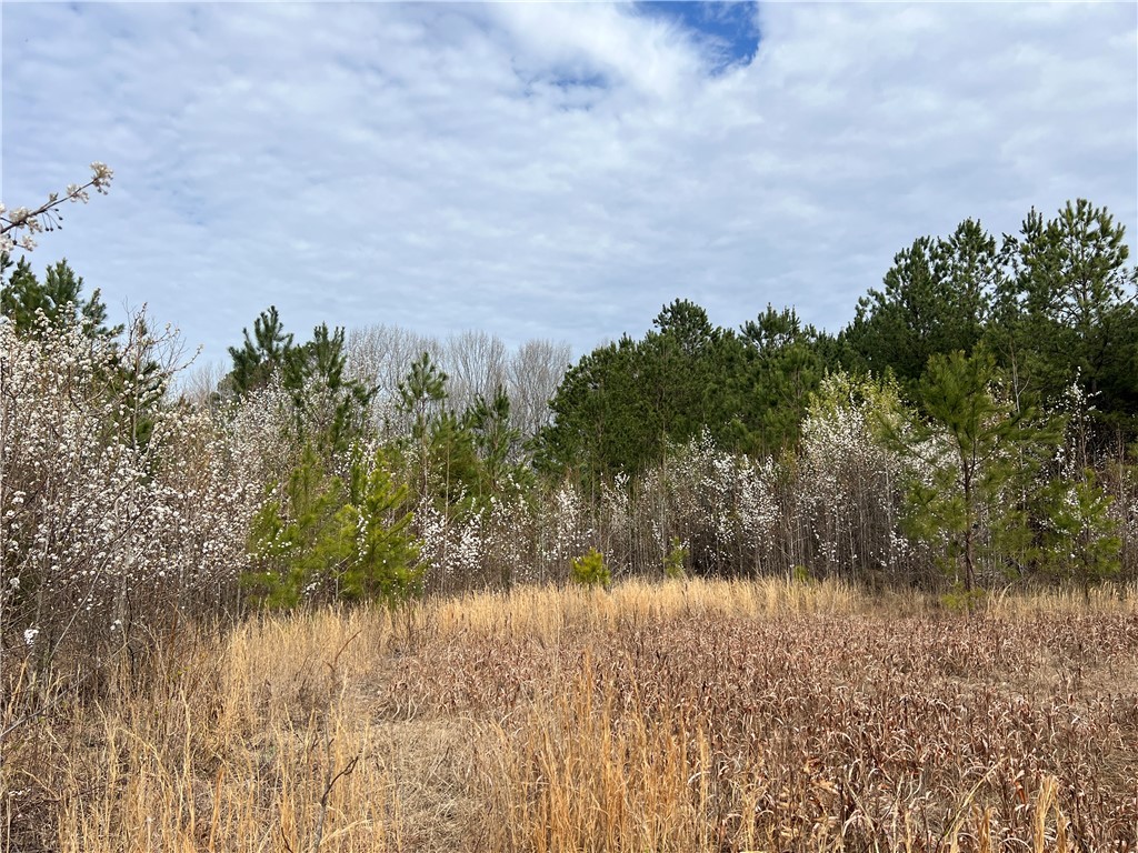 Tract 1 Keys Street, Anderson, South Carolina image 3