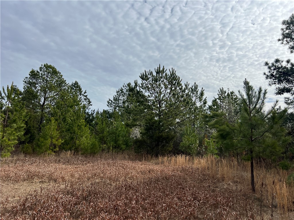 Tract 1 Keys Street, Anderson, South Carolina image 4