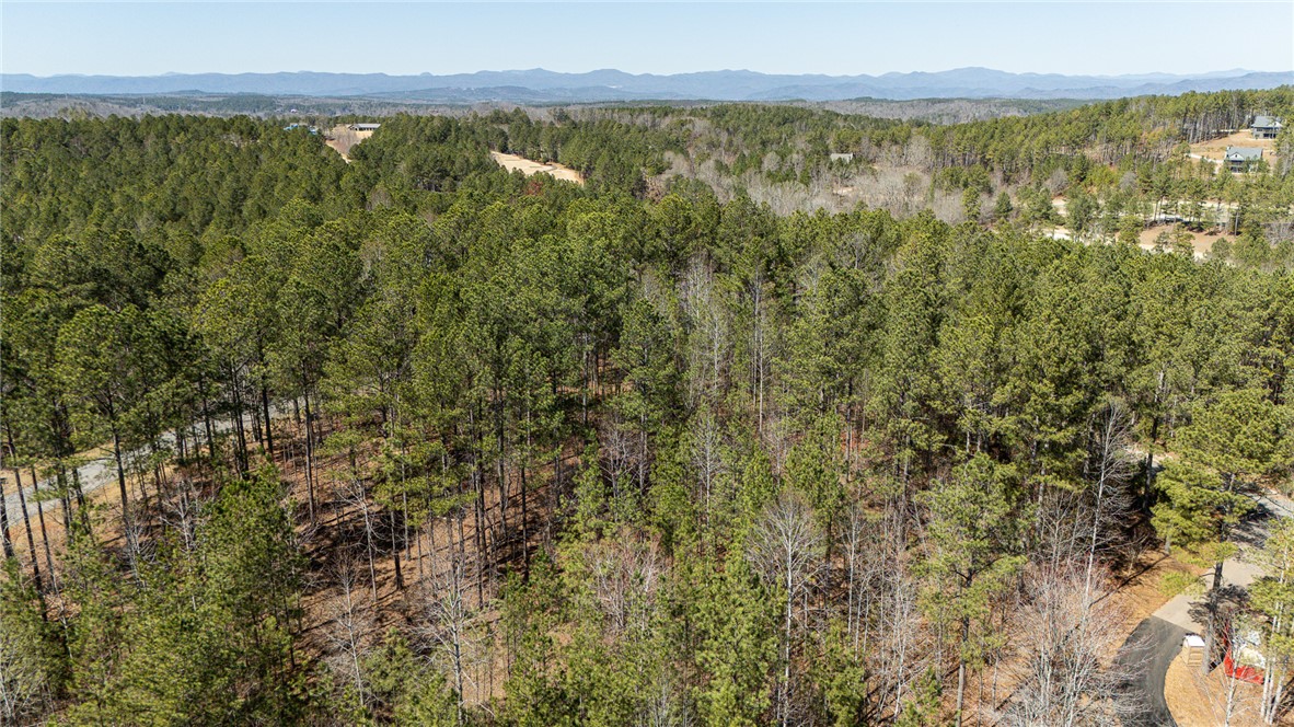 Lot 28 Spring Cove Way, Six Mile, South Carolina image 12