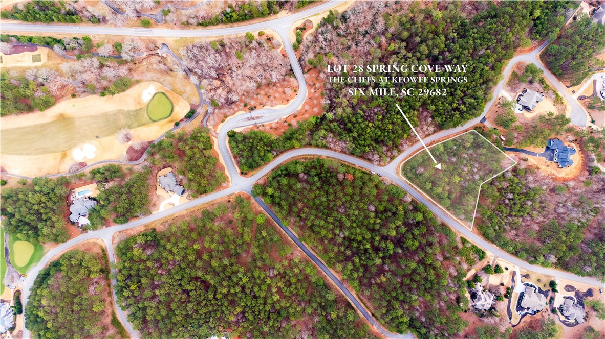 Lot 28 Spring Cove Way, Six Mile, South Carolina image 2