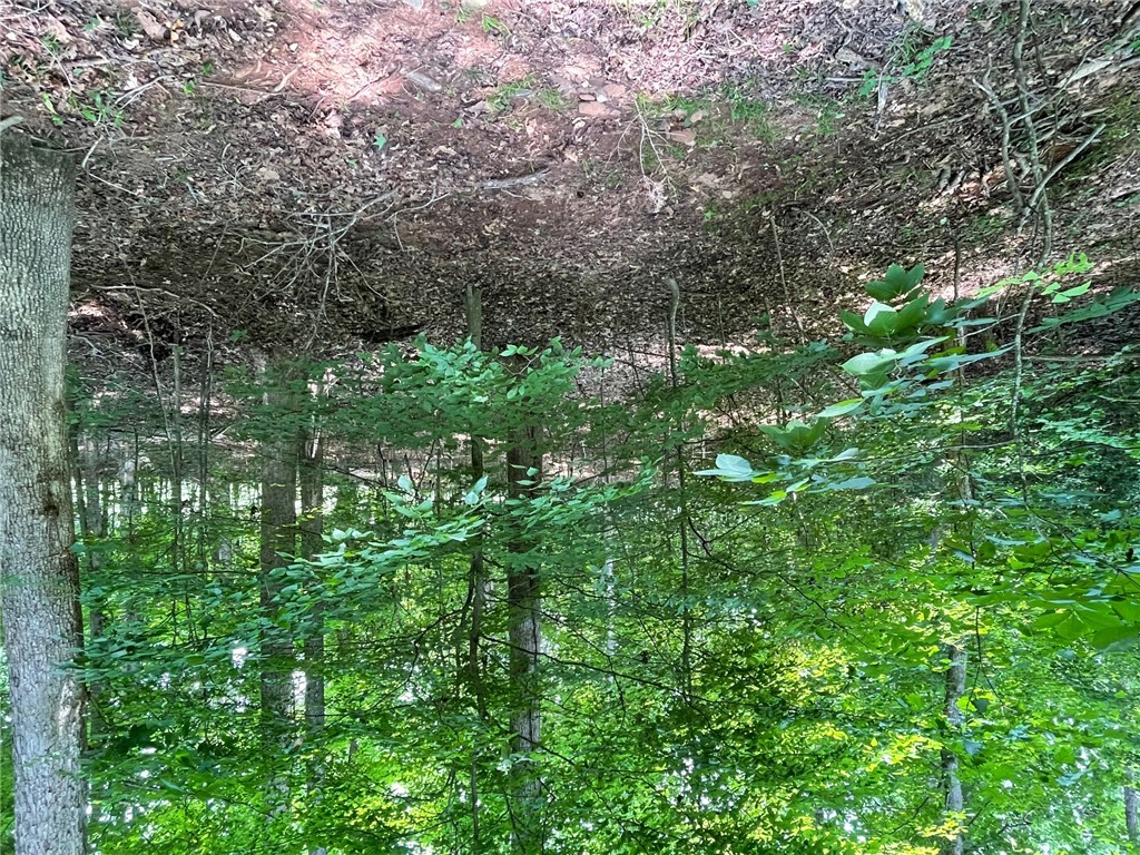 Lot 784 S Hogan Drive, Westminster, South Carolina image 2