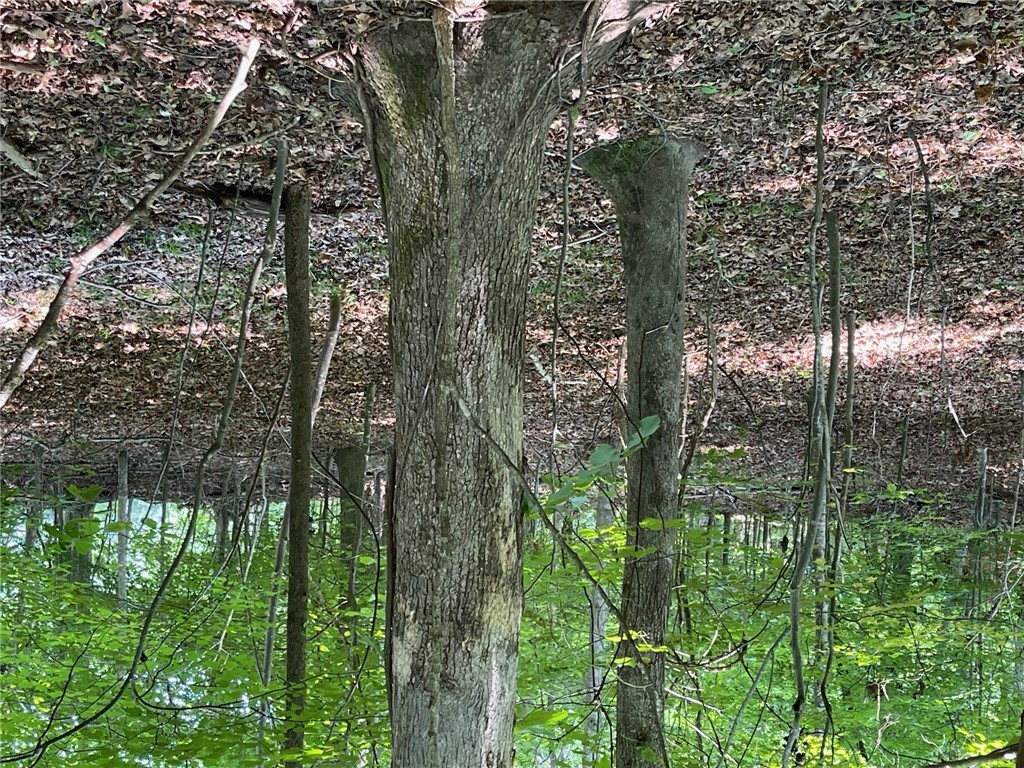 Lot 784 S Hogan Drive, Westminster, South Carolina image 8